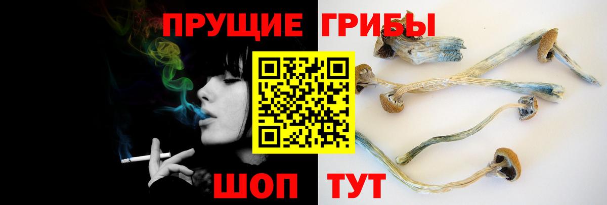  COCAIN Петропавловск-Камчатский